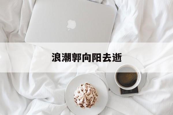 浪潮郭向阳毕命
_郭向阳的个人资料（浪潮郭晓民）